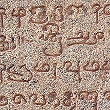 Video Sales Letter Script